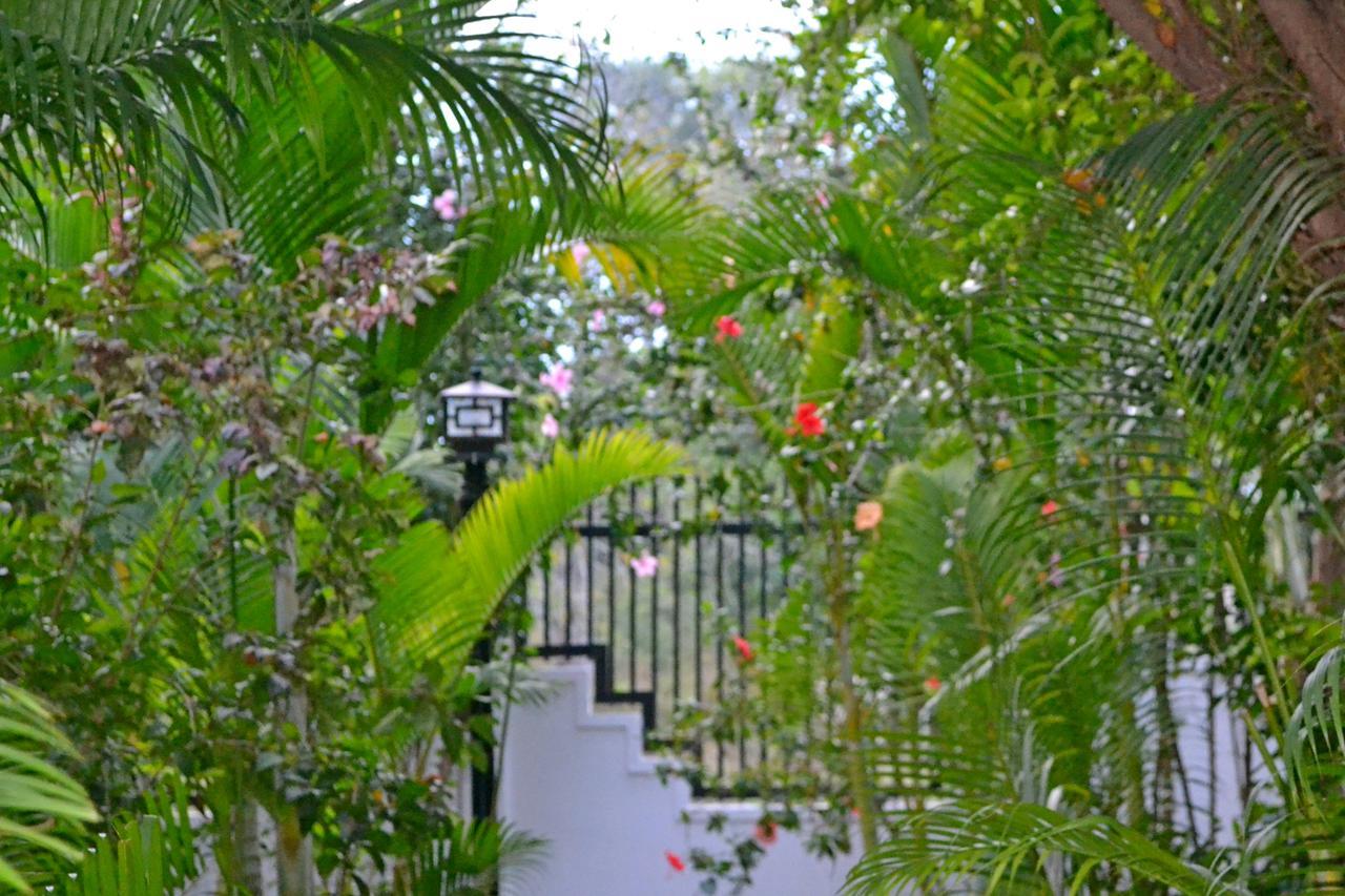 Nature Boutique Residence เสียมราฐ ภายนอก รูปภาพ