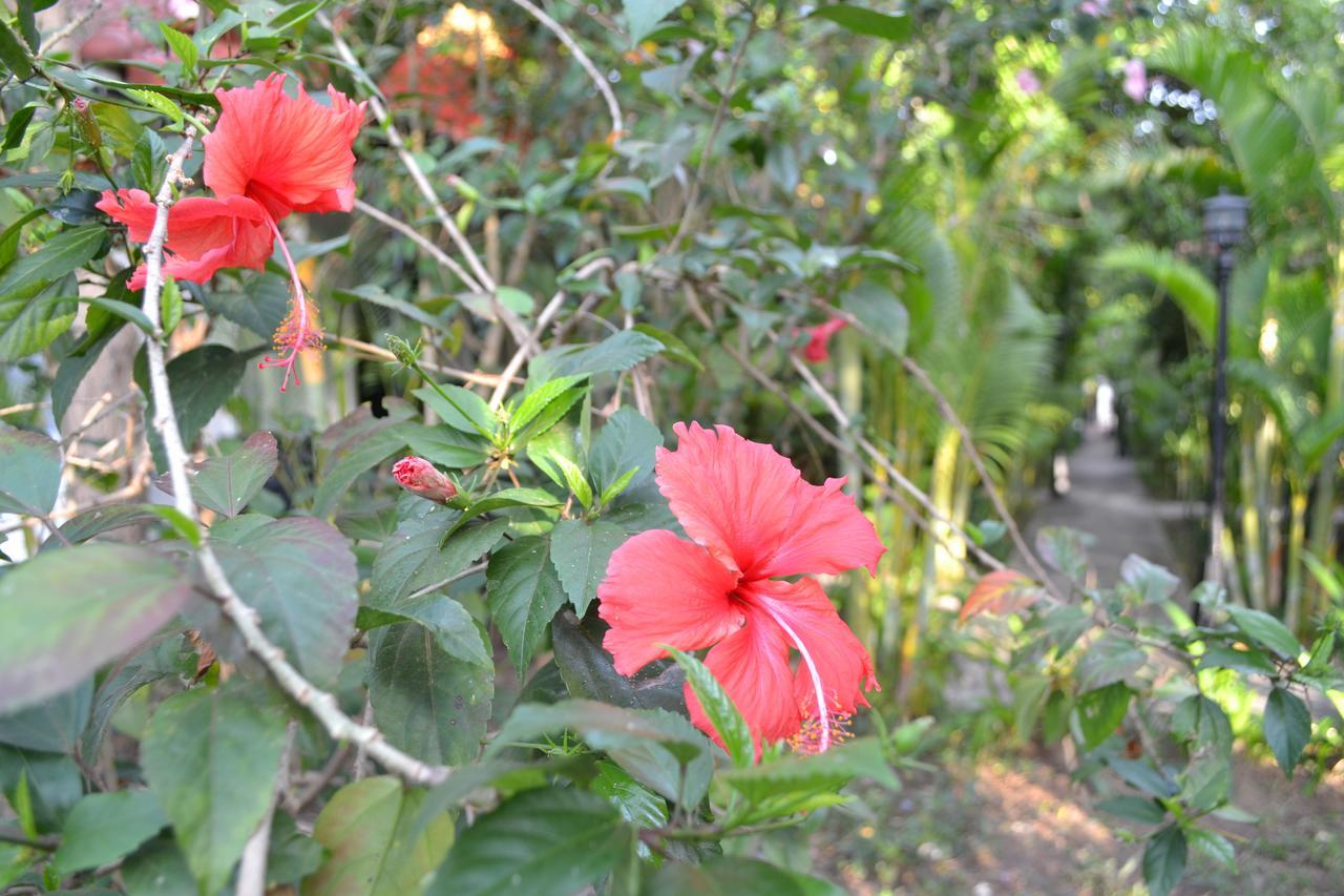 Nature Boutique Residence เสียมราฐ ภายนอก รูปภาพ